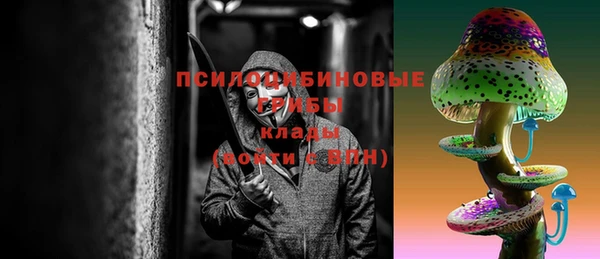 стафф Белокуриха