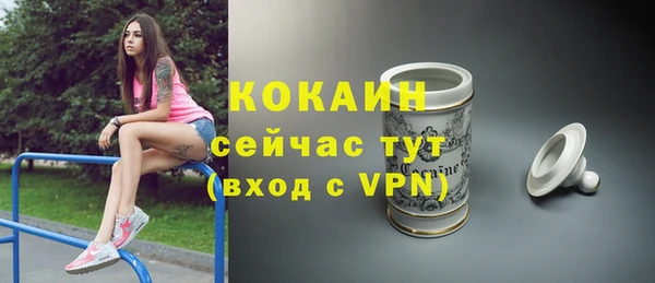 apvp Богданович
