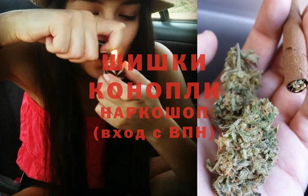 дмт Богородск
