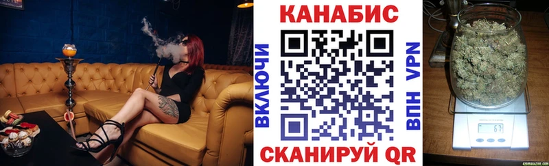 Каннабис планчик  Кировград 